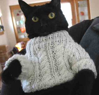 Illustration for article titled Cats that are impossible to find stock